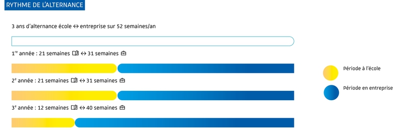 Rythme de l'alternance sur les 3 années