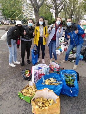 Récolte de légumes pour redistribution à des associations s'occupant des personnes dans le besoin