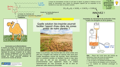 méthode pour faciliter l’apport d’eau  (graisse de chameau)