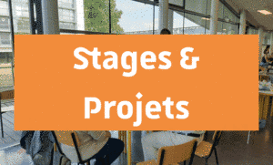 Stages et projets